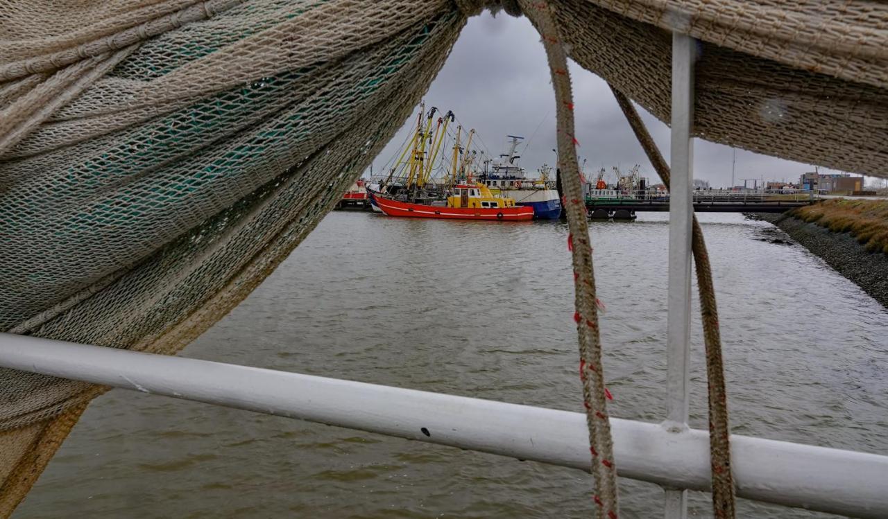Schierzicht Logement Lauwersoog Bagian luar foto
